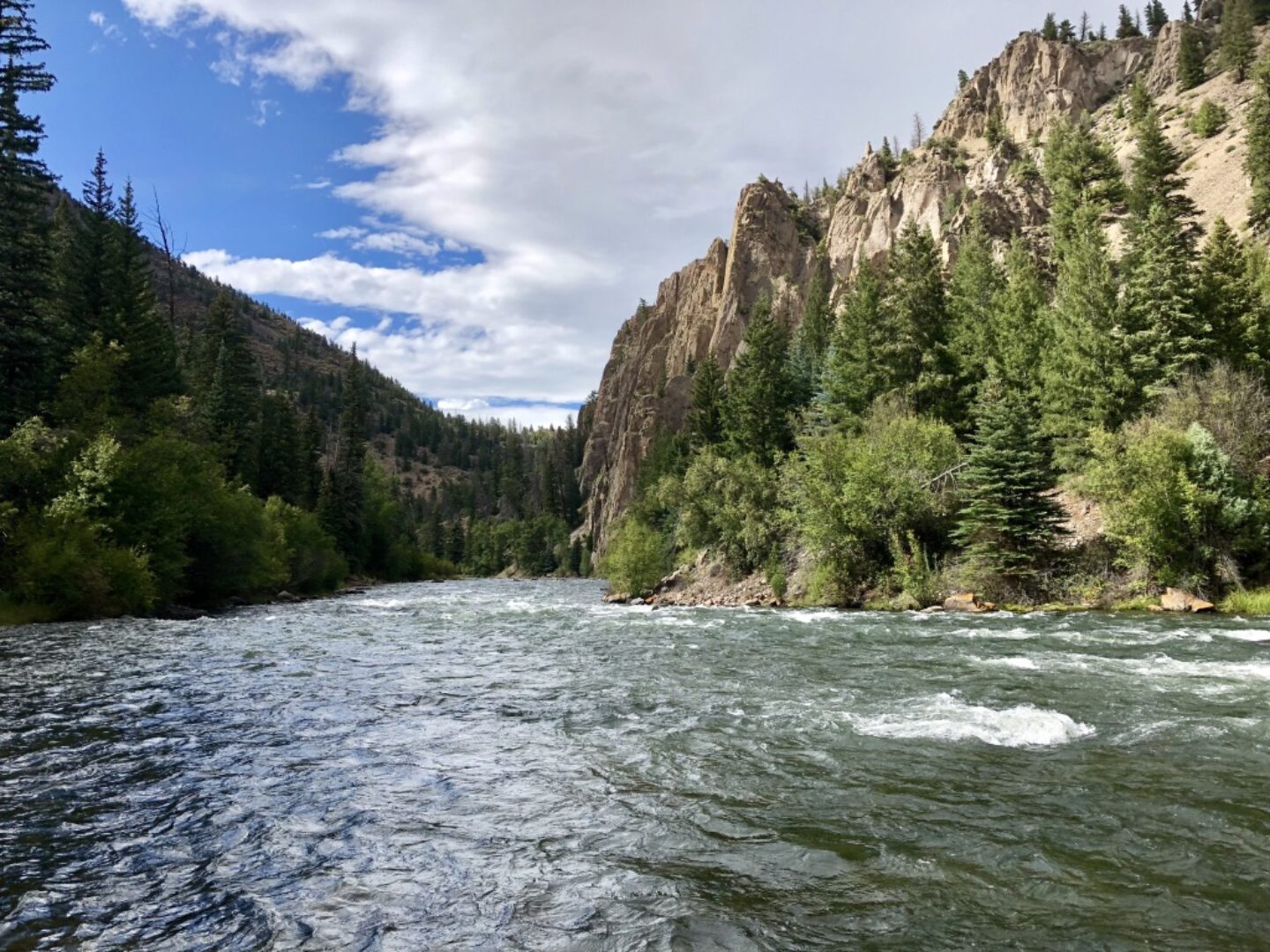 Colorado Gold Waters – Colorado Gold Medal Waters